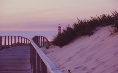 Back to School Meditation 1 of 5 – Reflection of Summer